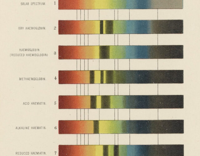 frontispiece plate of illustrations of the blood spectra