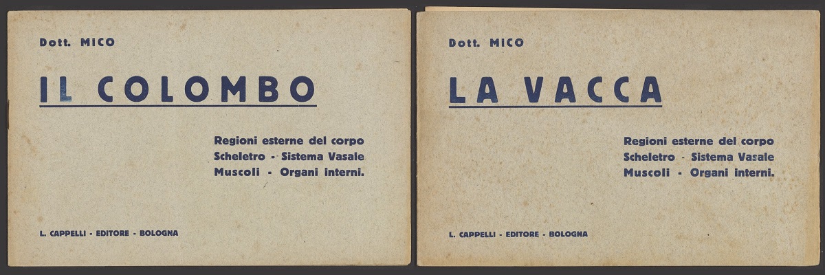 2 Italian language book covers