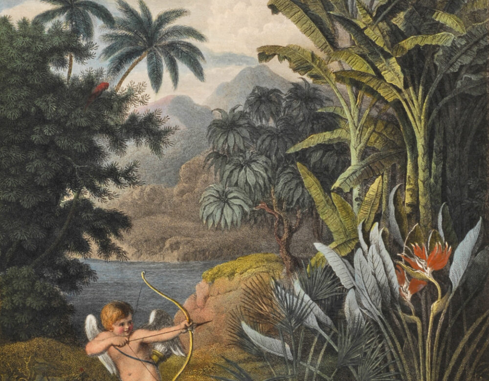 cupid shooting an arrow in a tropical paradise
