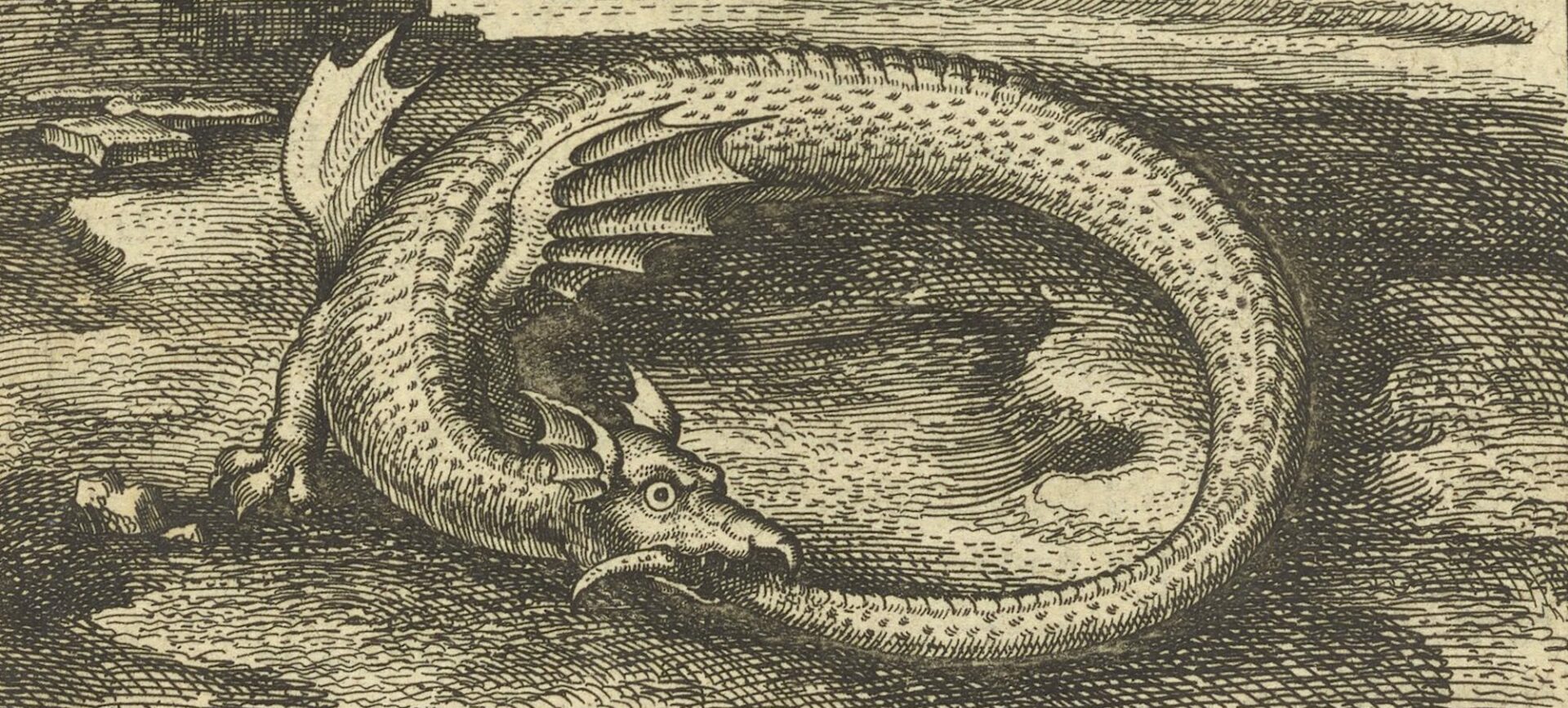 illustration of a dragon eating its own tail